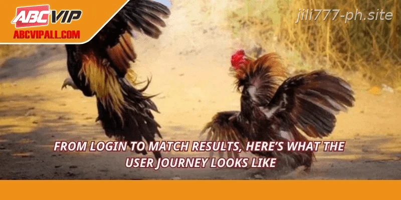 From login to match results, here’s what the user journey looks like