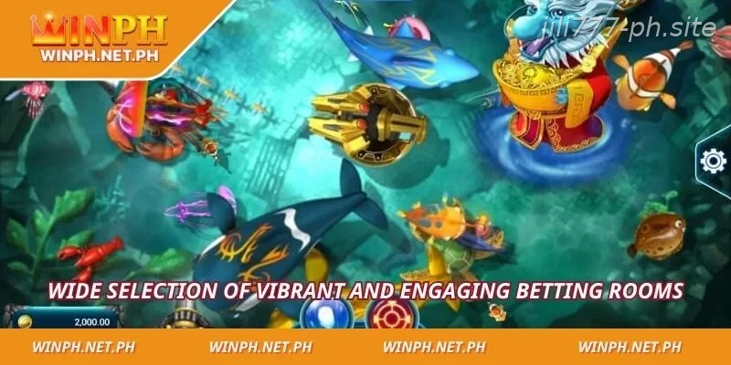 Wide selection of vibrant and engaging betting rooms