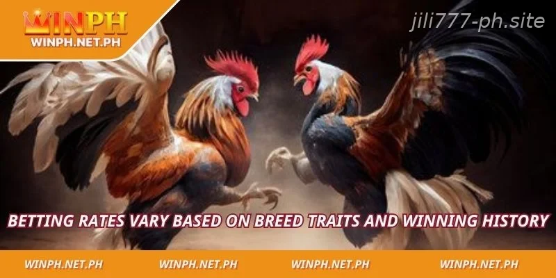 Betting rates vary based on breed traits and winning history