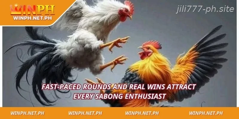 Fast-paced rounds and real wins attract every sabong enthusiast